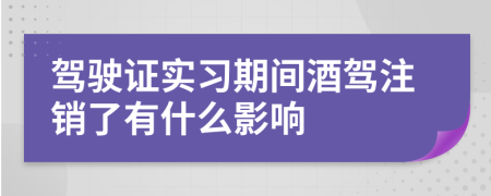 驾驶证实习期间酒驾注销了有什么影响