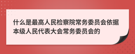 什么是最高人民检察院常务委员会依据本级人民代表大会常务委员会的