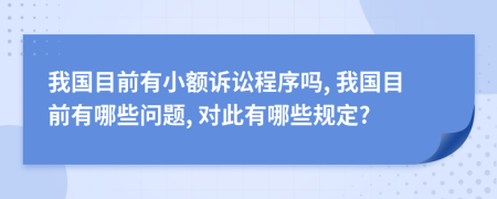 我国目前有小额诉讼程序吗, 我国目前有哪些问题, 对此有哪些规定?