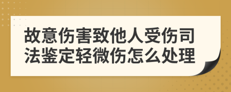 故意伤害致他人受伤司法鉴定轻微伤怎么处理