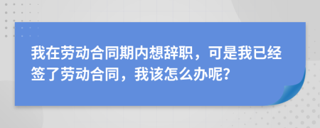 我在劳动合同期内想辞职，可是我已经签了劳动合同，我该怎么办呢？