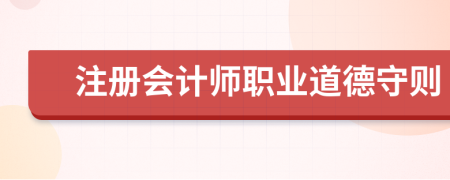 注册会计师职业道德守则