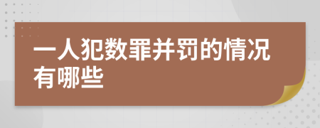 一人犯数罪并罚的情况有哪些