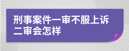 刑事案件一审不服上诉二审会怎样