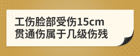 工伤脸部受伤15cm贯通伤属于几级伤残