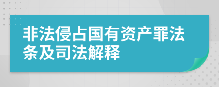 非法侵占国有资产罪法条及司法解释