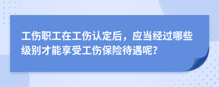 工伤职工在工伤认定后，应当经过哪些级别才能享受工伤保险待遇呢？