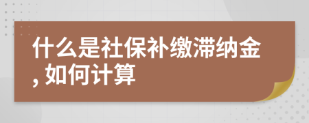 什么是社保补缴滞纳金, 如何计算