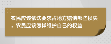 农民应该依法要求占地方赔偿哪些损失，农民应该怎样维护自己的权益