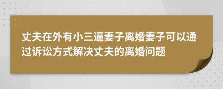 丈夫在外有小三逼妻子离婚妻子可以通过诉讼方式解决丈夫的离婚问题