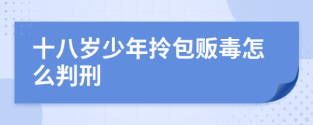 十八岁少年拎包贩毒怎么判刑