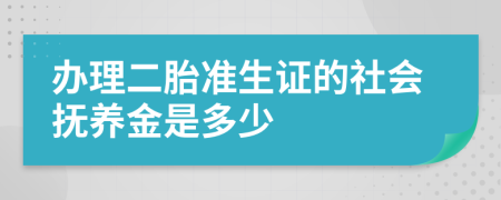 办理二胎准生证的社会抚养金是多少