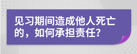 见习期间造成他人死亡的，如何承担责任？