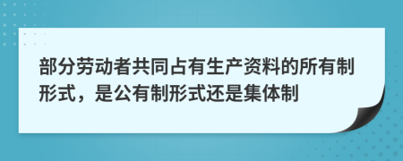 部分劳动者共同占有生产资料的所有制形式，是公有制形式还是集体制