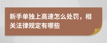 新手单独上高速怎么处罚，相关法律规定有哪些