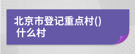 北京市登记重点村() 什么村