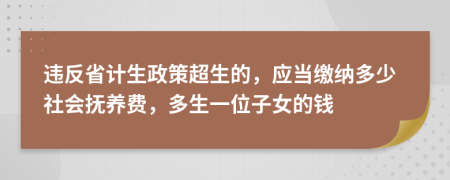 违反省计生政策超生的，应当缴纳多少社会抚养费，多生一位子女的钱