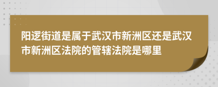 阳逻街道是属于武汉市新洲区还是武汉市新洲区法院的管辖法院是哪里