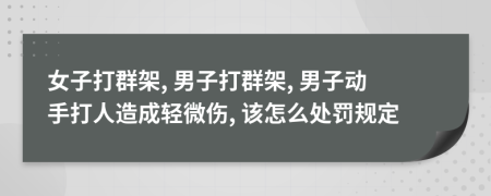 女子打群架, 男子打群架, 男子动手打人造成轻微伤, 该怎么处罚规定
