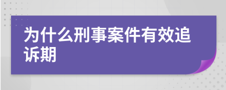 为什么刑事案件有效追诉期