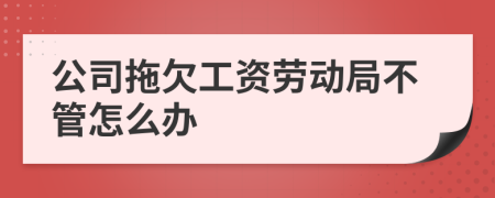 公司拖欠工资劳动局不管怎么办