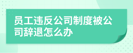 员工违反公司制度被公司辞退怎么办