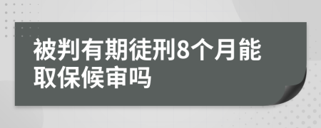 被判有期徒刑8个月能取保候审吗