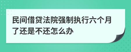 民间借贷法院强制执行六个月了还是不还怎么办