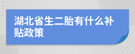 湖北省生二胎有什么补贴政策