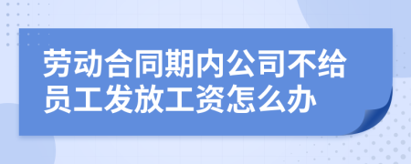 劳动合同期内公司不给员工发放工资怎么办