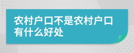 农村户口不是农村户口有什么好处