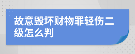 故意毁坏财物罪轻伤二级怎么判