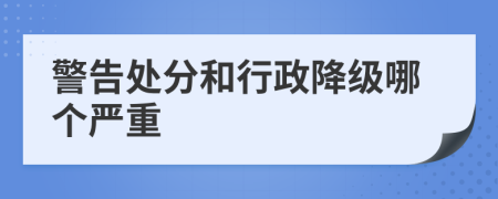 警告处分和行政降级哪个严重