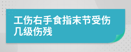 工伤右手食指末节受伤几级伤残