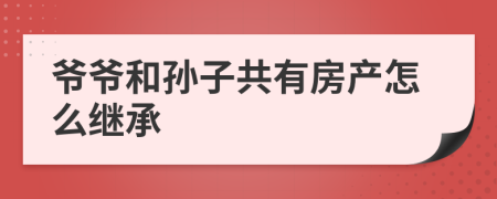 爷爷和孙子共有房产怎么继承