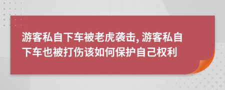 游客私自下车被老虎袭击, 游客私自下车也被打伤该如何保护自己权利