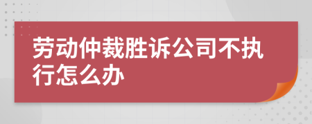 劳动仲裁胜诉公司不执行怎么办