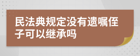 民法典规定没有遗嘱侄子可以继承吗