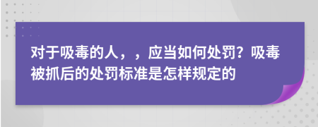 对于吸毒的人，，应当如何处罚？吸毒被抓后的处罚标准是怎样规定的