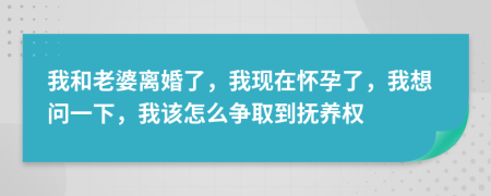 我和老婆离婚了，我现在怀孕了，我想问一下，我该怎么争取到抚养权