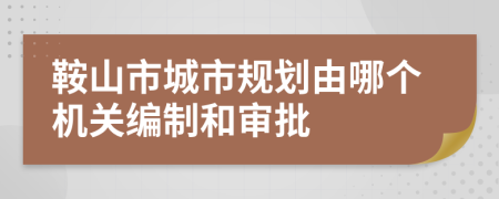 鞍山市城市规划由哪个机关编制和审批