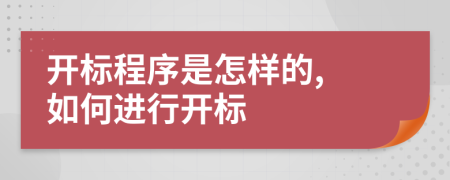 开标程序是怎样的, 如何进行开标