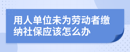 用人单位未为劳动者缴纳社保应该怎么办