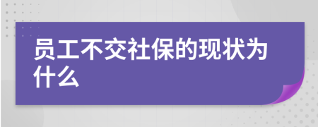 员工不交社保的现状为什么