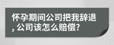 怀孕期间公司把我辞退, 公司该怎么赔偿?