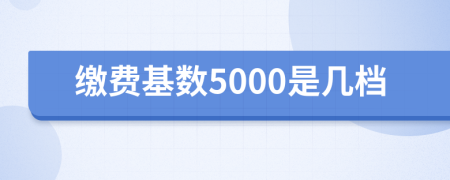 缴费基数5000是几档