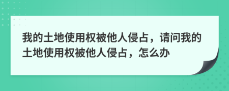 我的土地使用权被他人侵占，请问我的土地使用权被他人侵占，怎么办