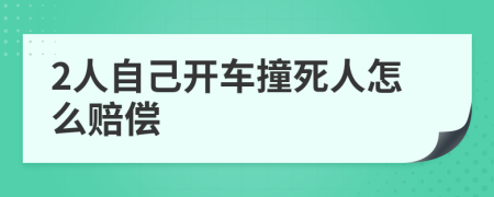 2人自己开车撞死人怎么赔偿