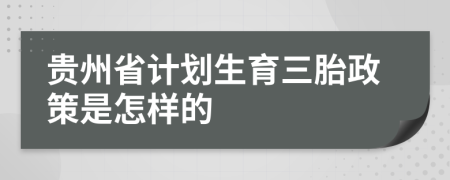 贵州省计划生育三胎政策是怎样的