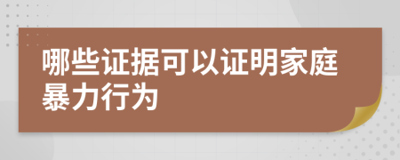 哪些证据可以证明家庭暴力行为